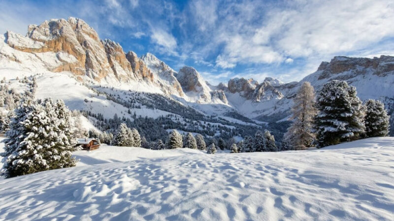 ФАС разрешила краснодарской компании приобрести «Архыз» на определенных условиях