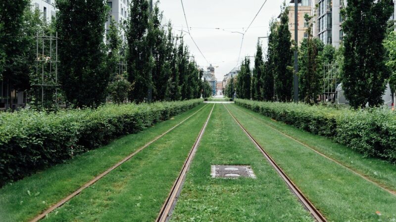 В Краснодаре утвердили изменения в планировке территории для Западной линии трамвая