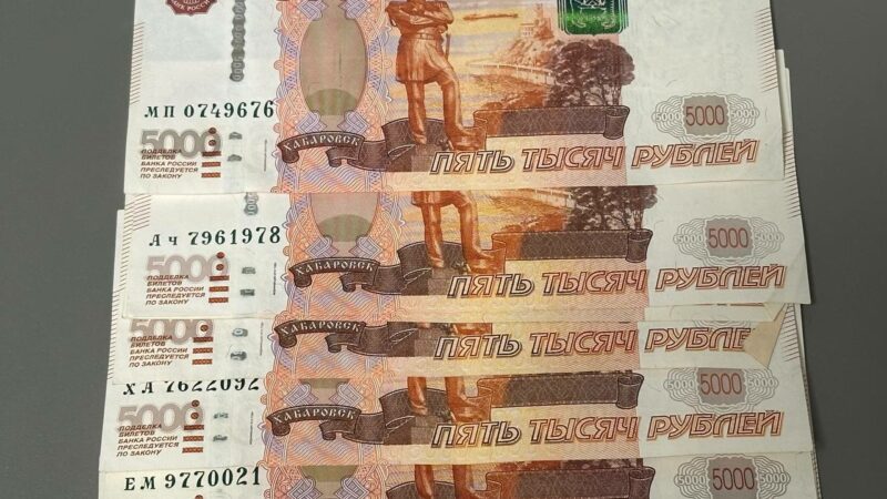 Мнение: отказ Сбера от льготных кредитов не повлияет на ситуацию АПК Юга