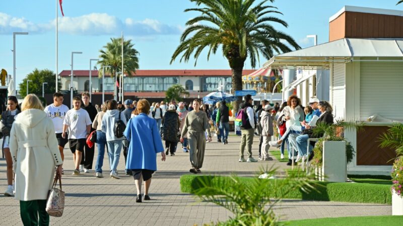 На Кубани в 2025 г. в отелях остановилось на 11% меньше иностранцев