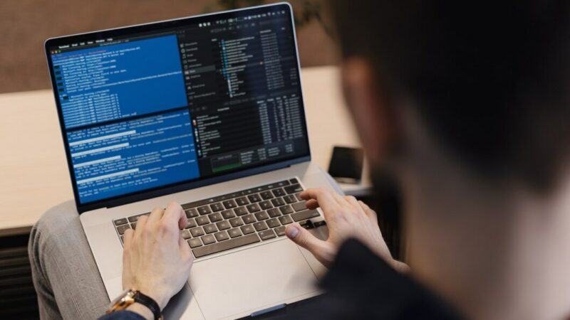 Жители России могут пройти бесплатные курсы в IT, digital и креативе