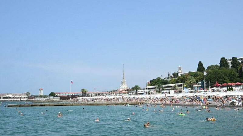 В Сочи по итогам I квартала 2026 года выросло число предпринимателей