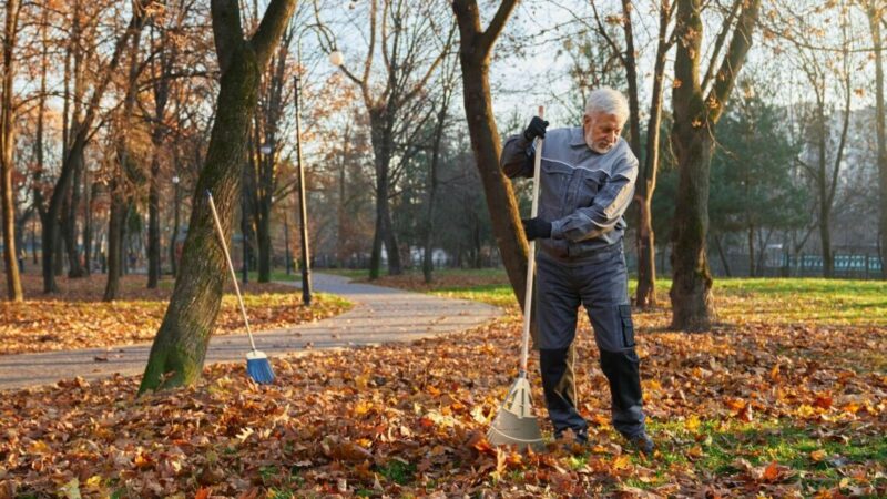В Краснодарском крае зарплата дворников выросла на 7% в 2026 году