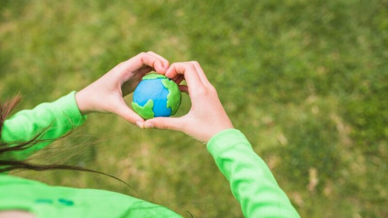 Зеленый тренд как путь развития: как забота об экологии определяет успех бизнеса
