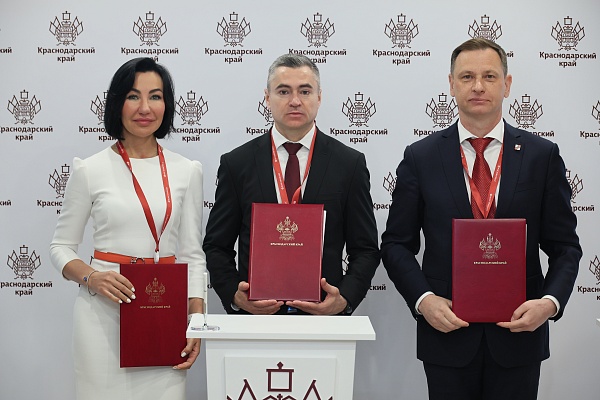 В Сочи планируют построить многоуровневый ресторан за ₽1 млрд 