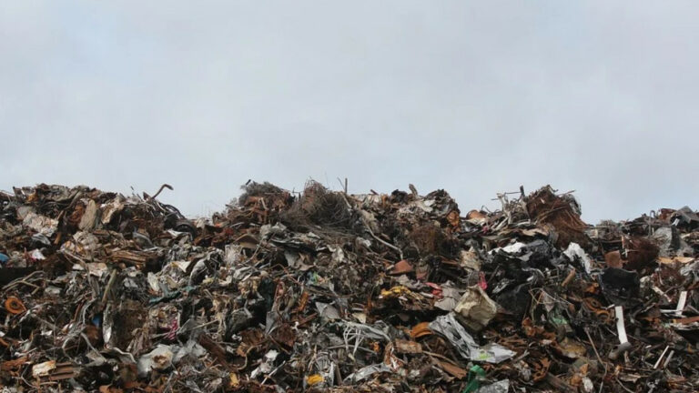 Путин одобрил строительство двух заводов по переработке мусора на Кубани